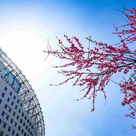 谷内春光美  清明烟火新
