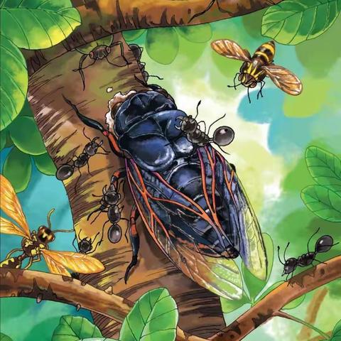 《昆虫记》蝉的故事和松毛虫的故事——初一三班第六期阅读活动