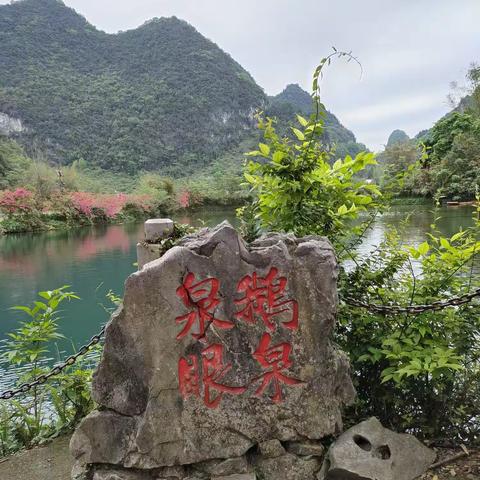 广西巴马快乐之旅(二)