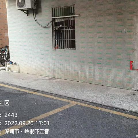 【平湖街道综合行政执法队】立行立改，扎实推进督察反馈问题整改