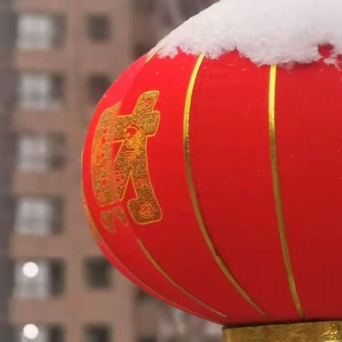 飞雪迎春