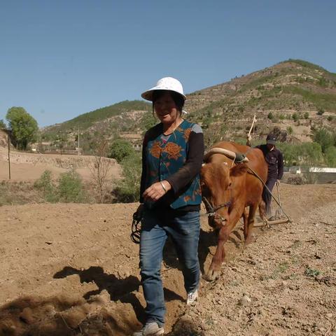 父老乡亲（二）