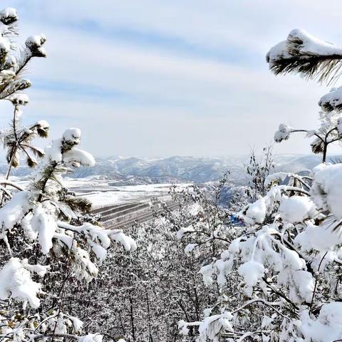 陕北雪韵