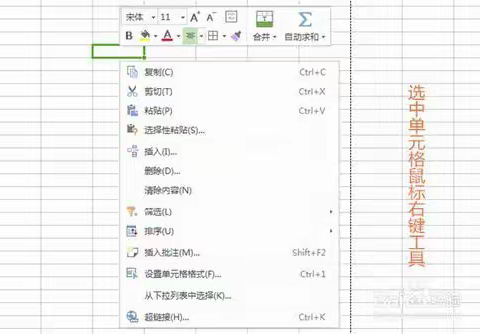 学习办公应用excel表格和WPS表格的常用操作