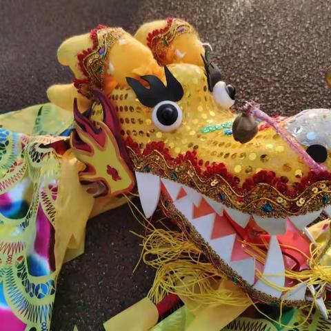 徐州市科技实验小学鞭龙社团