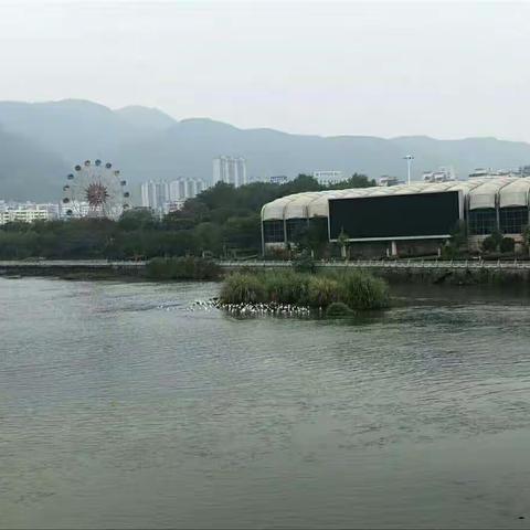 天凉好个秋，我们去郊游