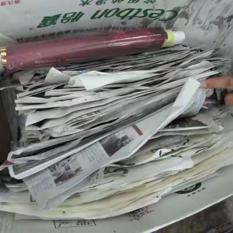 城头山镇中心小学“废旧纸张的再利用”科技活动