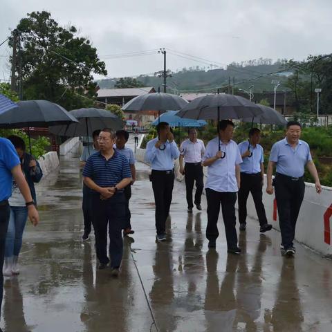 义马市第一总河长冒雨巡河--筑牢防汛安全线