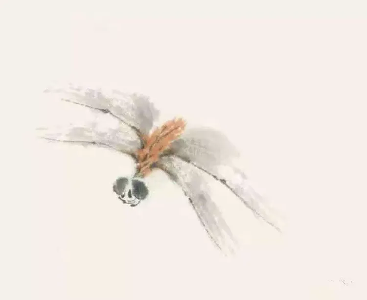 国画网络班第九节课《蜻蜓的画法》