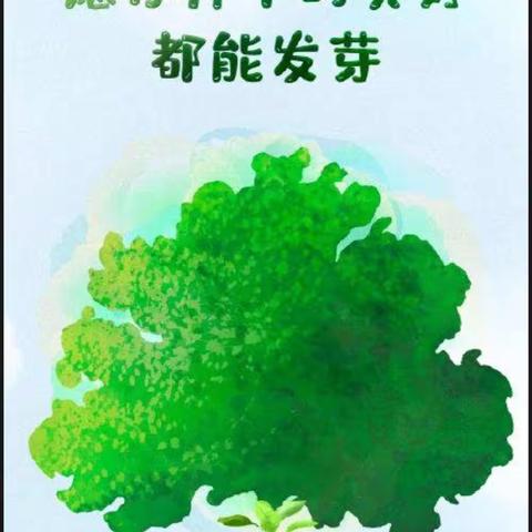 趁着春风十里 种下一抹绿意