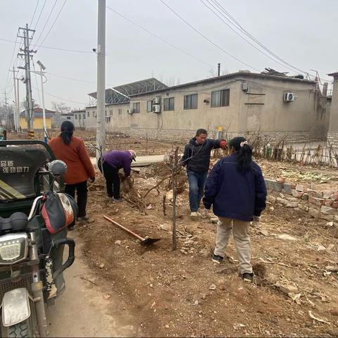 清扫枯枝落叶 消除火灾隐患