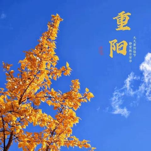 爱在重阳，温暖你我——六年级