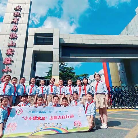 小小啄木鸟，啄出错别字——马鞍山实验小学403班“啄木鸟在行动”活动纪实
