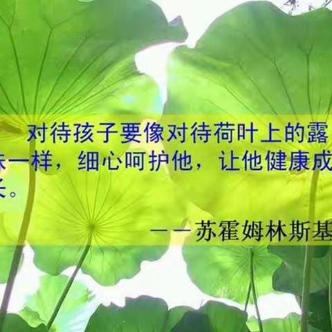 聚集体智慧  促专业成长