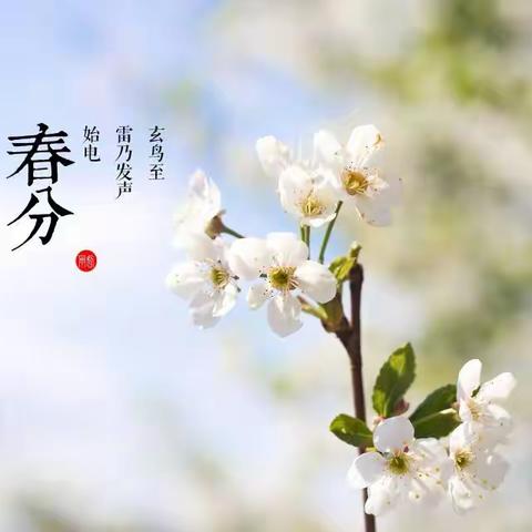 春分—立蛋
