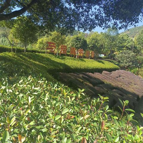 童心向党，劳动创造快乐 ——三元区建设小学二年级四班亲子实践活动