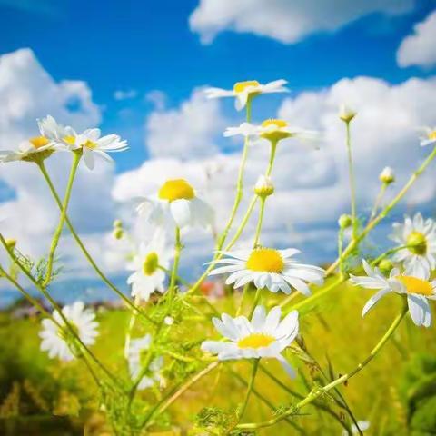 佳创物业御景龙湾2月份服务简报