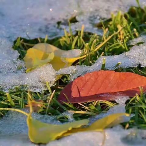 佳创物业御景龙湾小区11月份服务简报