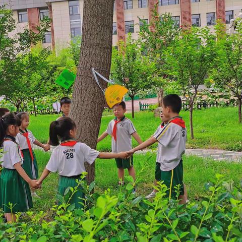 护佑一棵树，校园新绿长驻——第二十八中学小学部绿色校园活动纪实