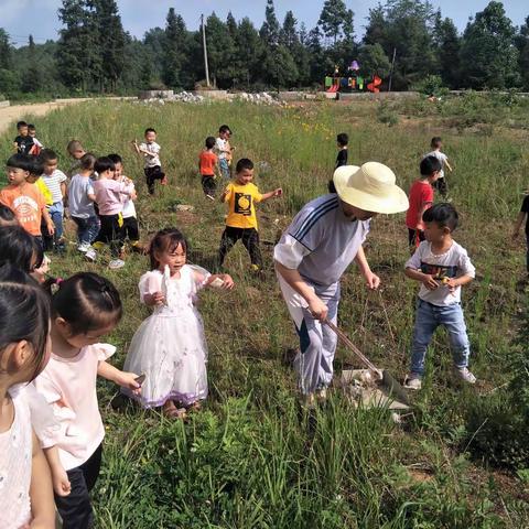 水城县龙场乡中心幼儿园“蓝天保卫战，我是行动者”活动剪影