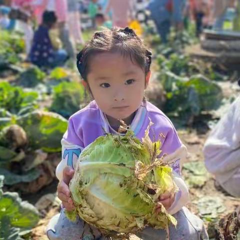 乐享收获  探寻秋天——丰收节