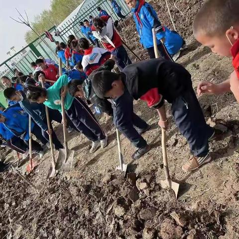 不负春光，美化校园——四年级组种花活动