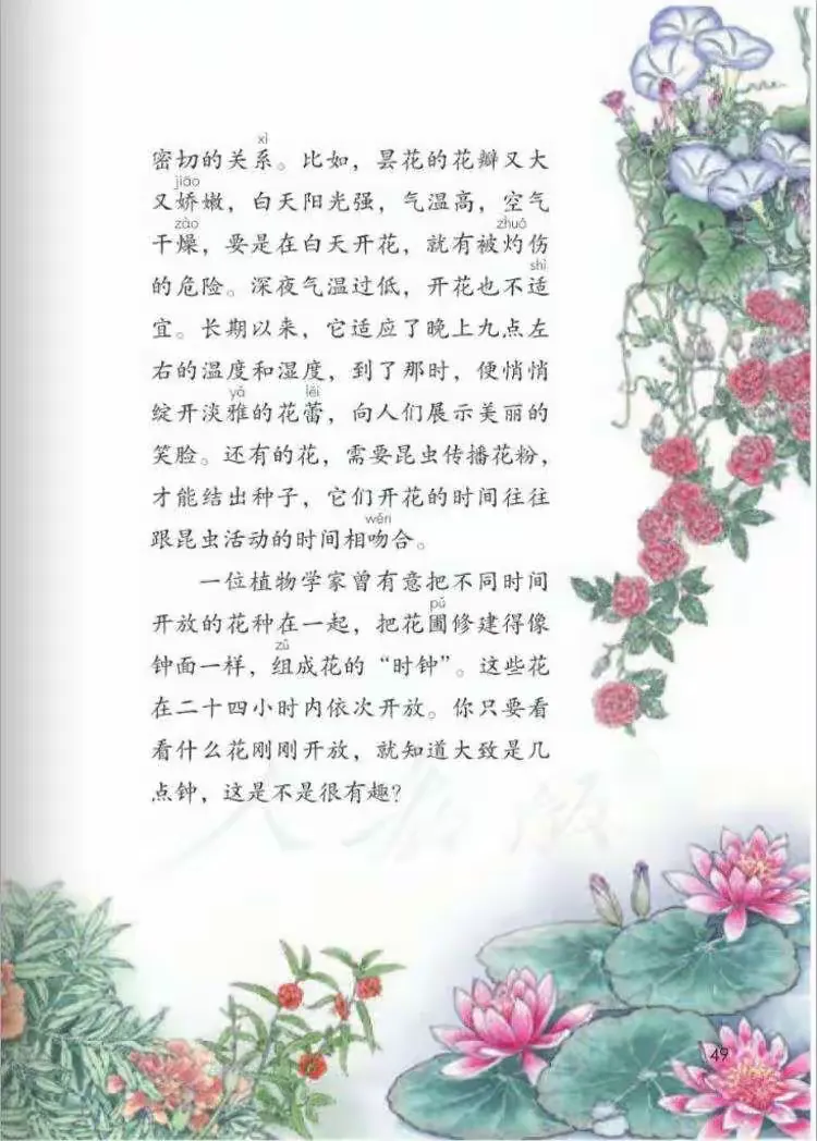 语文《花钟》第一课时