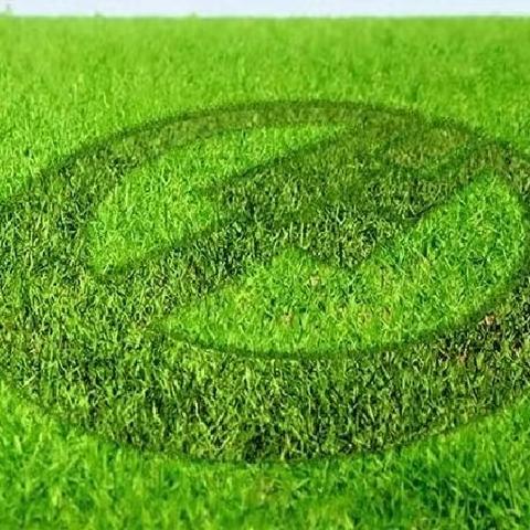 积极落实两岗融合提升人员效率-北京路支行