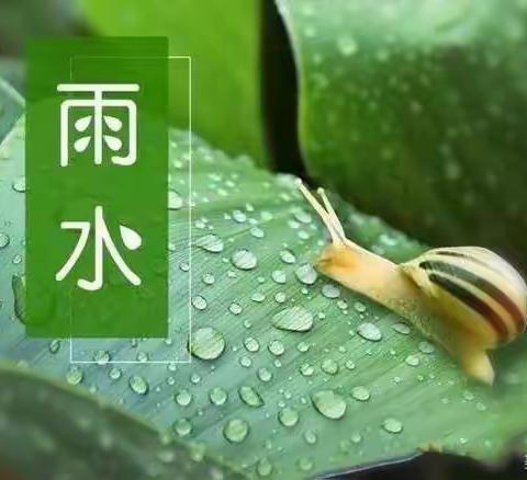 【衡水市第二幼儿园】雨水落，百谷生！