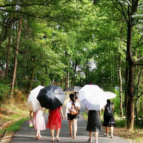 育贤中学工会开展“环游鼎山路”活动