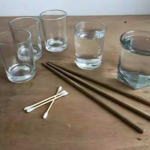 科学居家学习小活动（四年级）