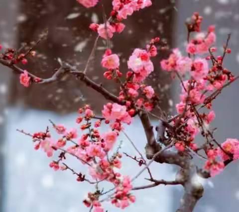 立足常规 精细管理——2021-2022学年第二学期班主任工作例会