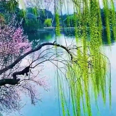 人间仙景藏龙潭 ，纳凉避暑真好玩
