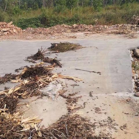 2021年10月1日莘营村修建涵洞到园区休闲路篇