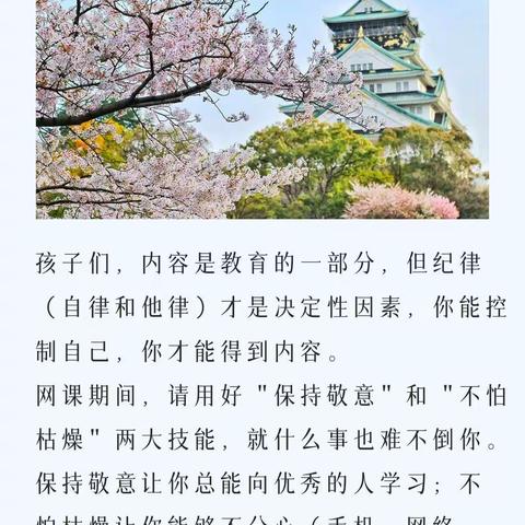 停课不停学，线上别样红——漯河市实验中学七（15）班战“疫”记