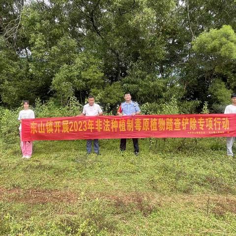 2023年东山镇开展第三季度非法种植毒品原植物踏查工作