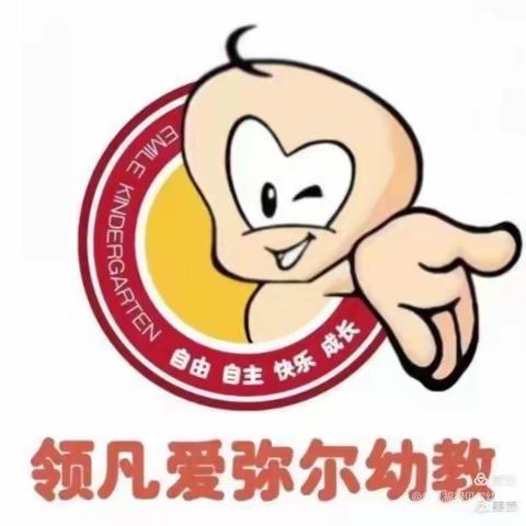 领凡福禄贝尔幼儿园中一班一周精彩回顾