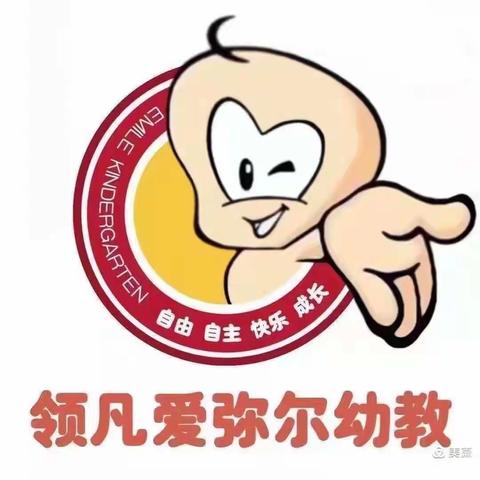 领凡福禄贝尔幼儿园中一班精彩瞬间回顾