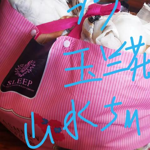 沙现货