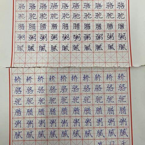 六年级第163天：每日练字