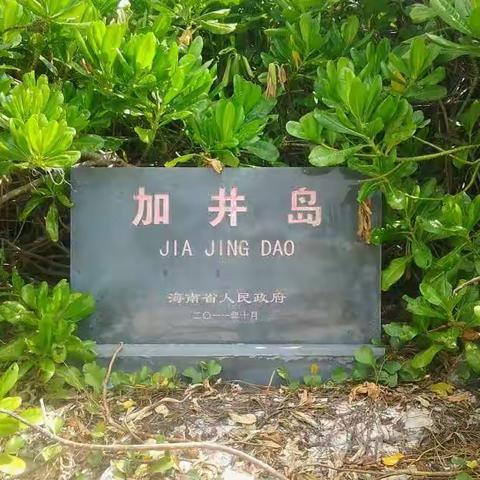 去一个美丽的地方