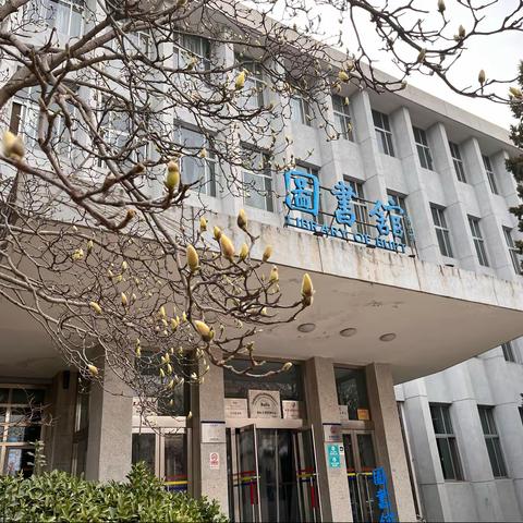 邮苑春雪