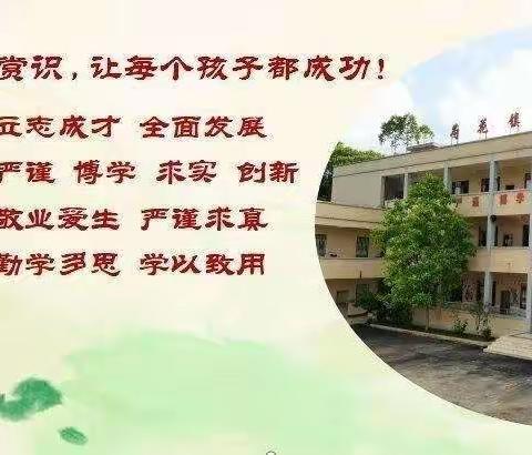 心的托付，爱的陪护——课后汇报