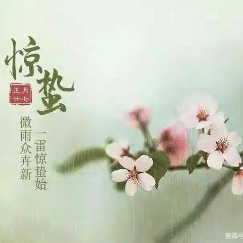 二十四节气—惊蛰起，绿意生，【华萃】植树节活动。