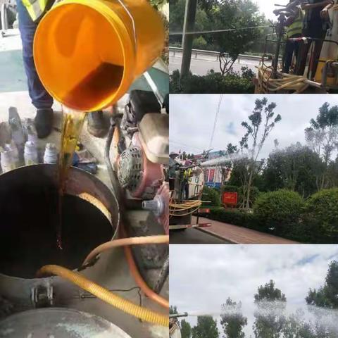 郭店街道绿化养护工作周记                (2021.7.11～7.17)