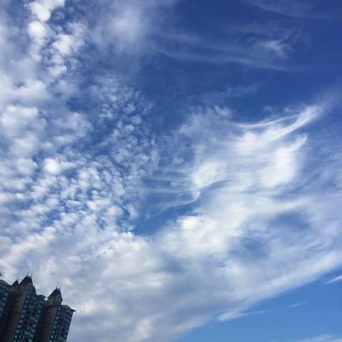 电子住院凭证的使用流程图