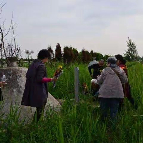蜂鸟的美篇  盐城探亲祭祖