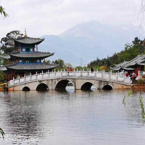 小草叶南行记