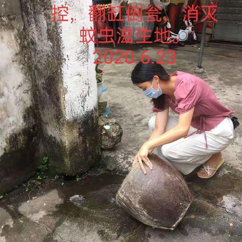 凤凰社区登革热防控 2020.6.24