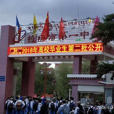 清晨观学 羊湖之旅 雪花飘过 野外就餐